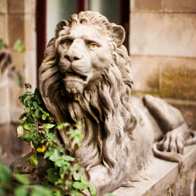 tour of lviv entitled lviv lion hunt